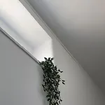 Casa Sofia *