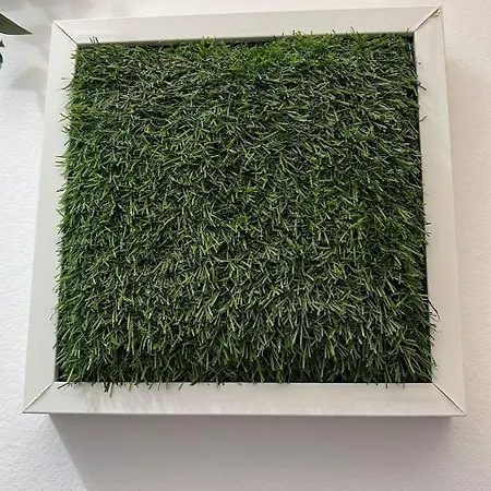 בית הארחה Casa Sofia