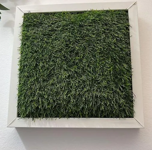 Guest house Casa Sofia