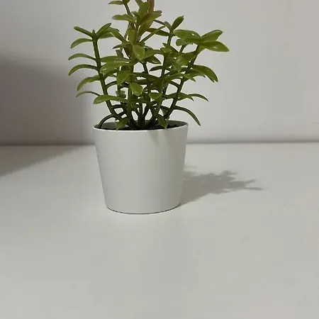 Casa Sofia カターニア