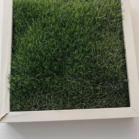 Casa Sofia ゲストハウス *