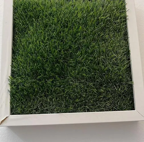 Casa Sofia Pensjonat *